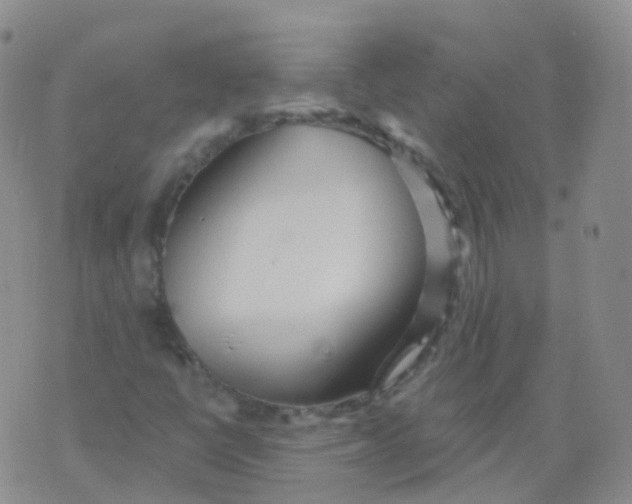 X0000076061398200610152151