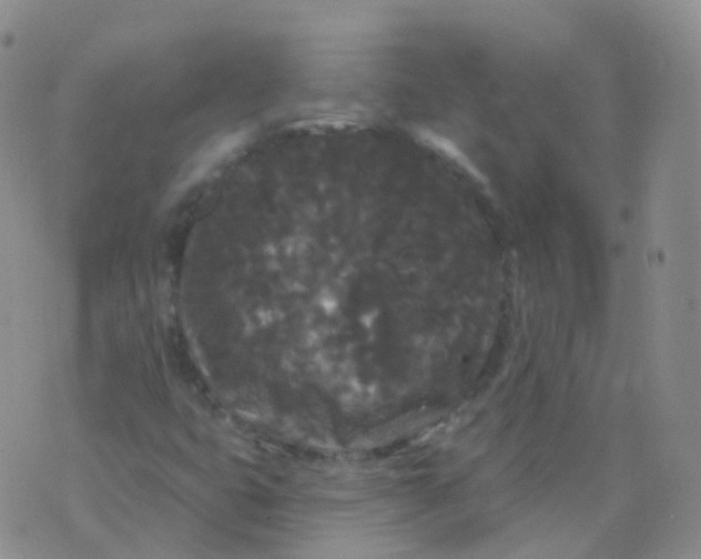 X0000076061399200610152151