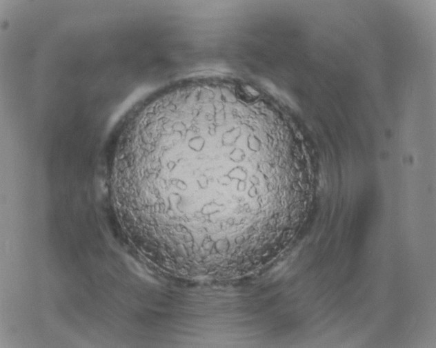 X0000076061400200610152151