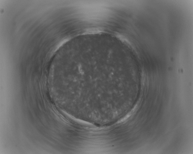 X0000076061401200610152151