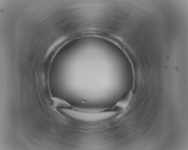 X0000076061402200610152151