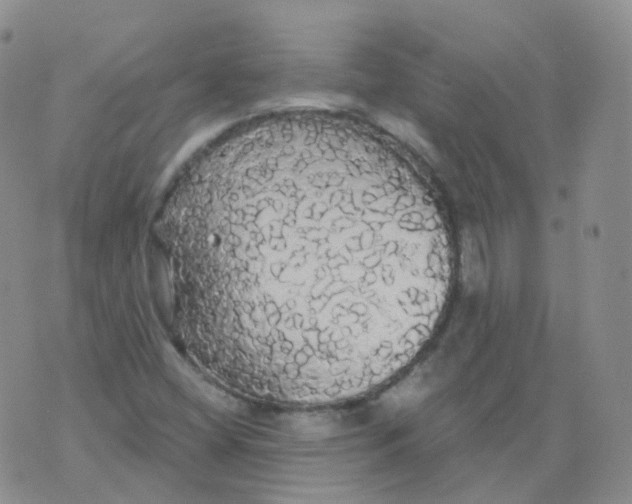 X0000076061404200610152151