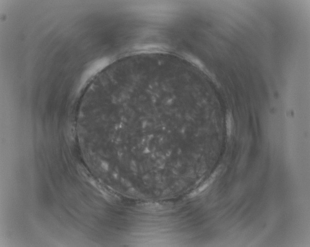 X0000076061405200610152151