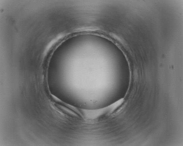 X0000076061406200610152151