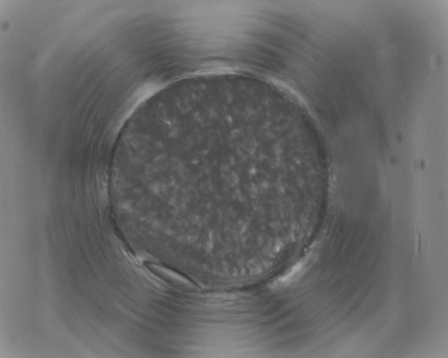 X0000076061409200610152151