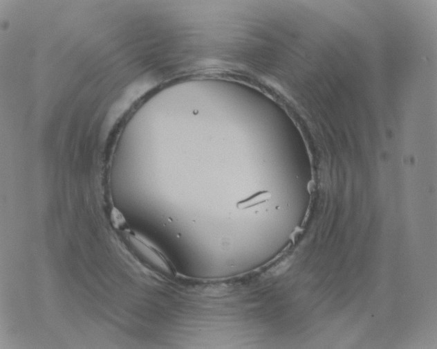 X0000076061410200610152151