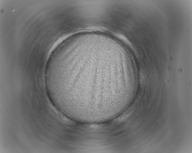 X0000076061412200610152151