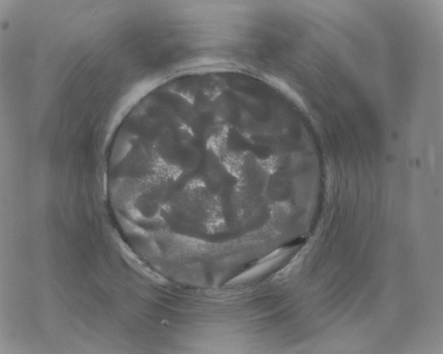 X0000076061413200610152151