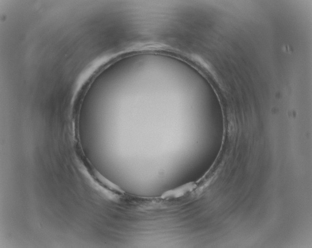 X0000076061414200610152151