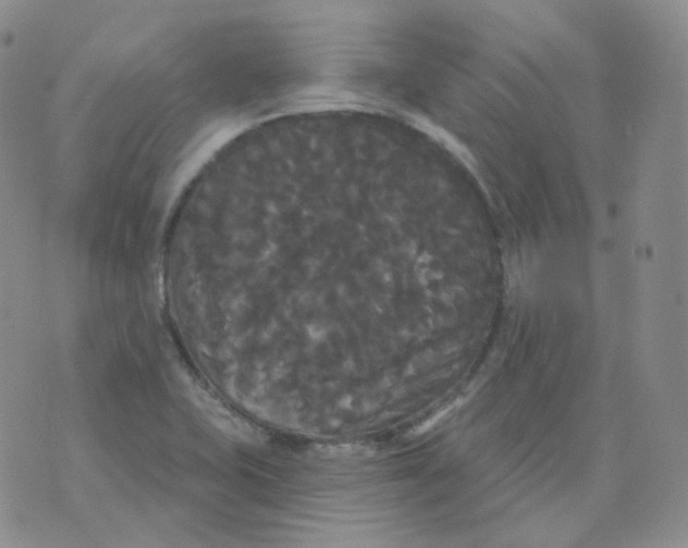 X0000076061415200610152151