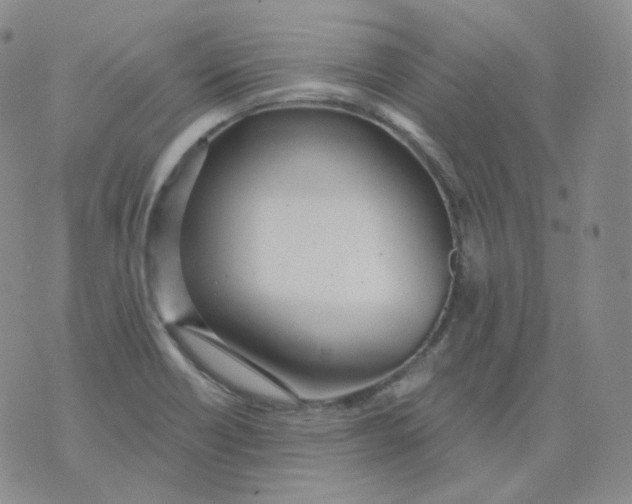 X0000076061418200610152151