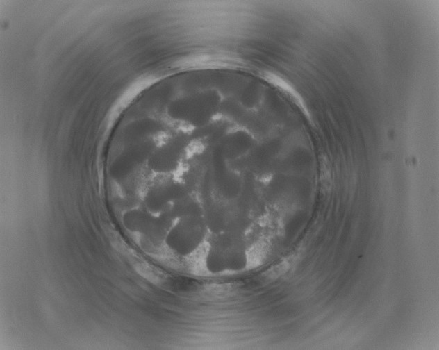 X0000076061419200610152151