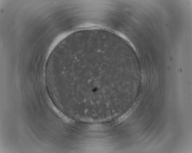 X0000076061421200610152151