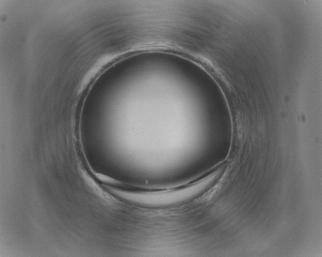 X0000076061422200610152151