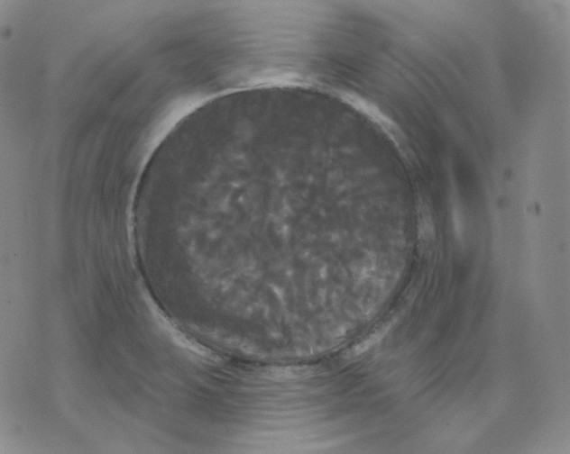 X0000076061423200610152151