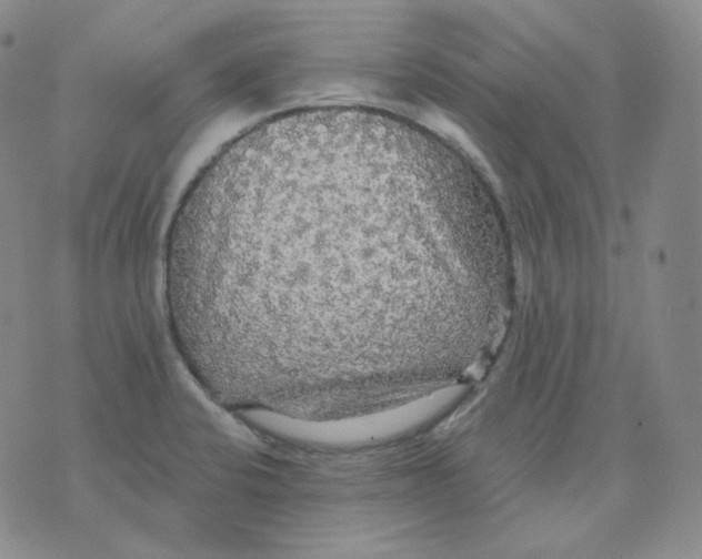 X0000076061424200610152151