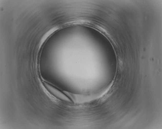 X0000076061426200610152151