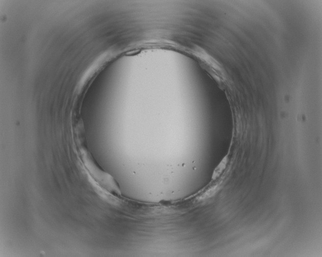 X0000076061430200610152151