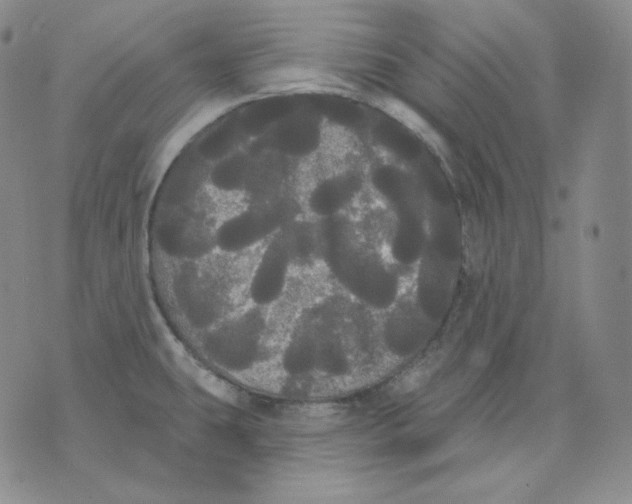 X0000076061431200610152151