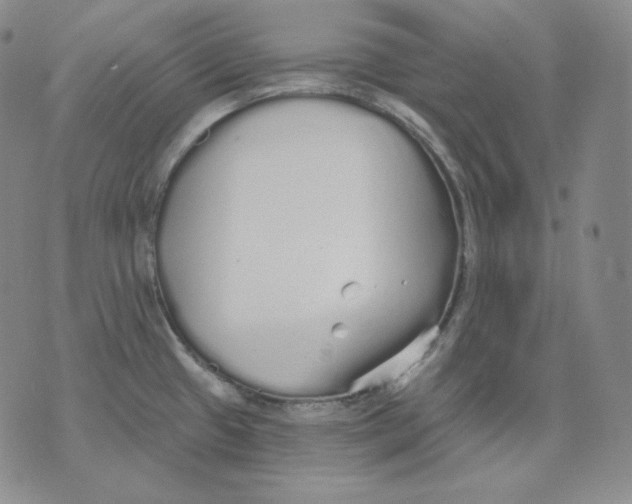 X0000076061433200610152151