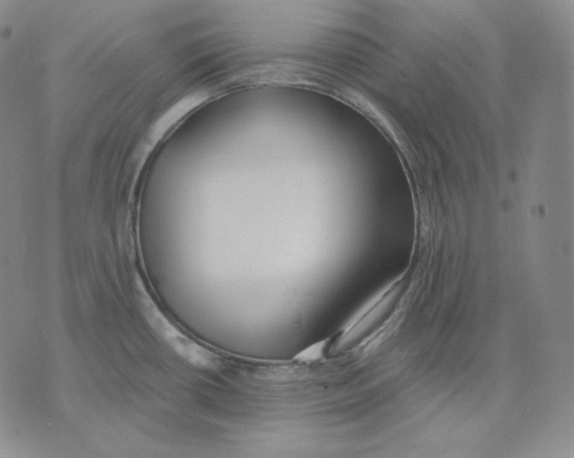 X0000076061434200610152151