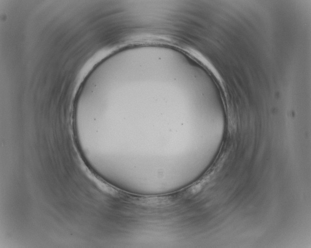 X0000076061437200610152151