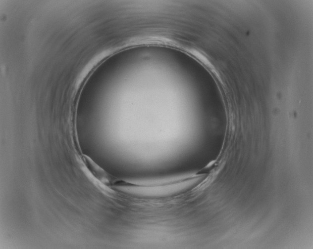 X0000076061438200610152151