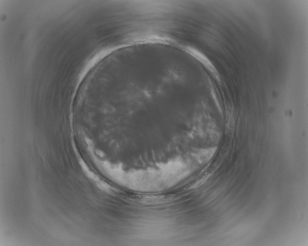 X0000076061439200610152151