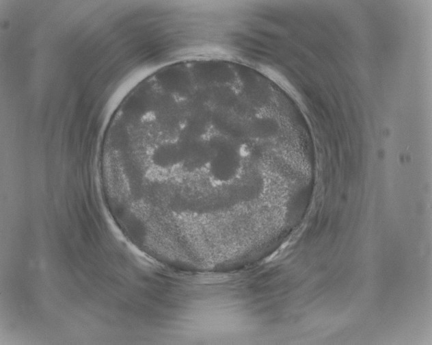 X0000076061440200610152151