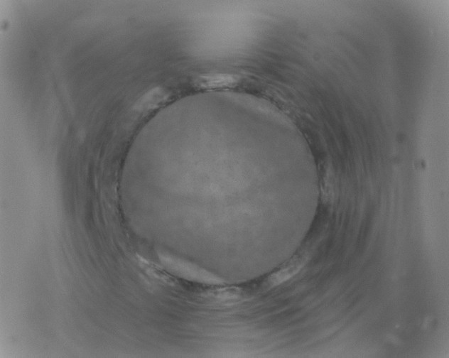 X0000076061441200610152150