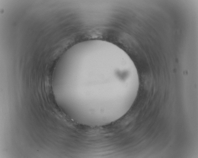 X0000076061442200610152150