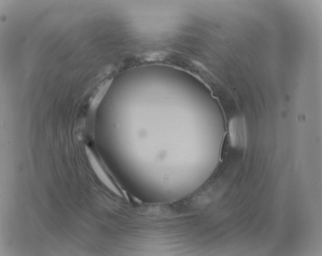 X0000076061443200610152150