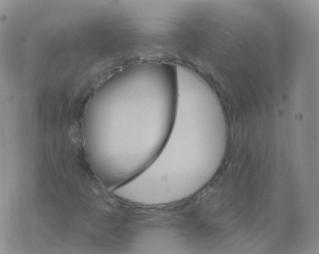 X0000076061445200610152150