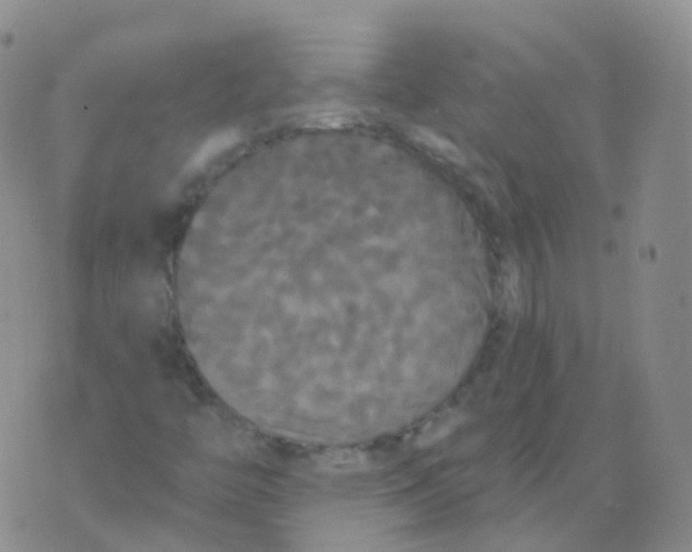 X0000076061446200610152150