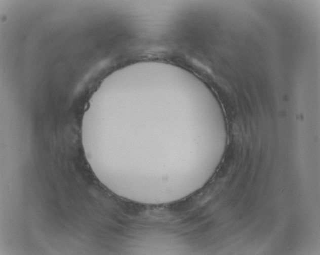 X0000076061447200610152150