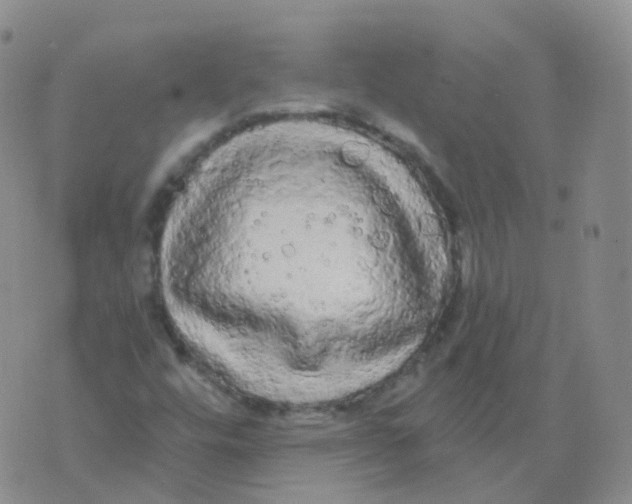 X0000076061448200610152150