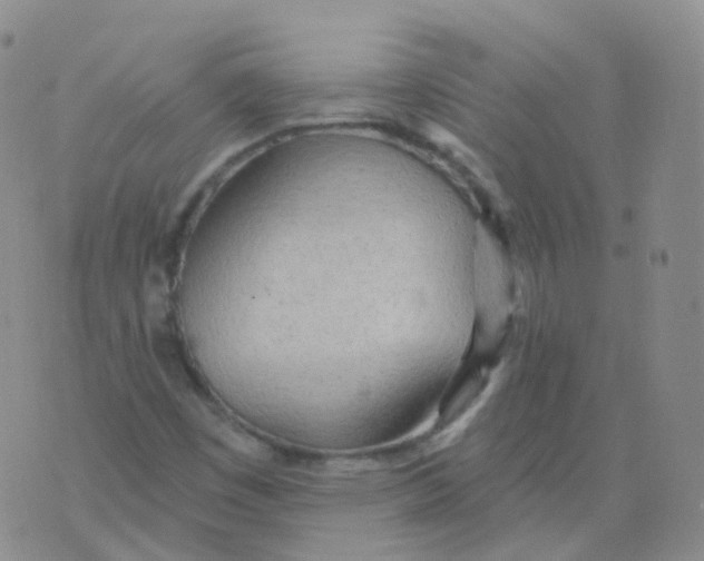 X0000076061449200610152150