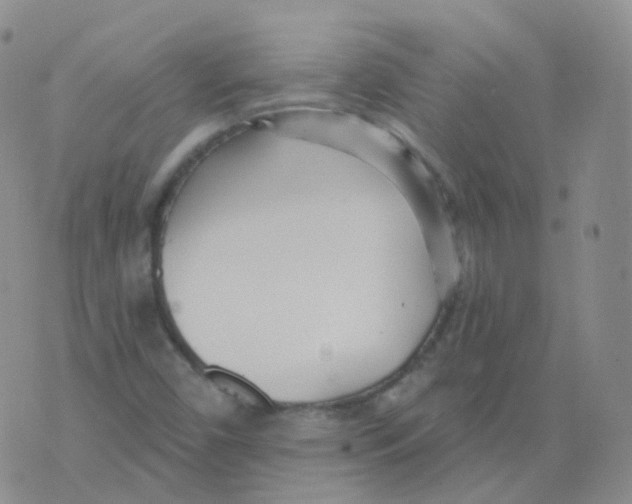 X0000076061450200610152150