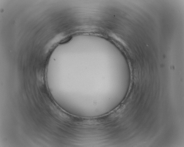 X0000076061451200610152150