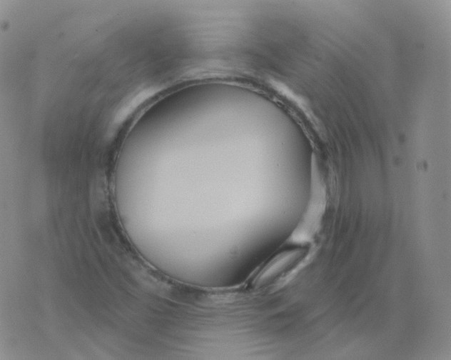 X0000076061453200610152150