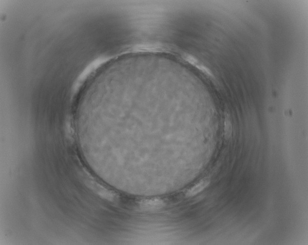 X0000076061454200610152150