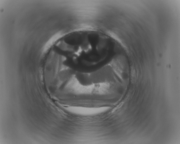 X0000076061455200610152150