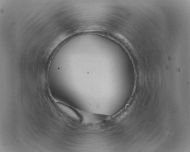 X0000076061457200610152150