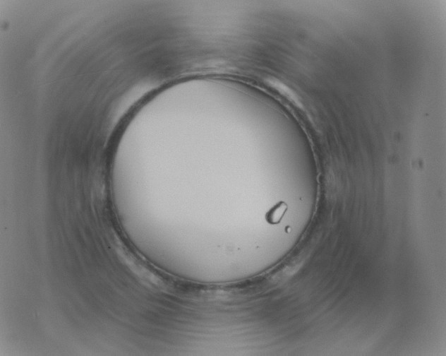 X0000076061458200610152150