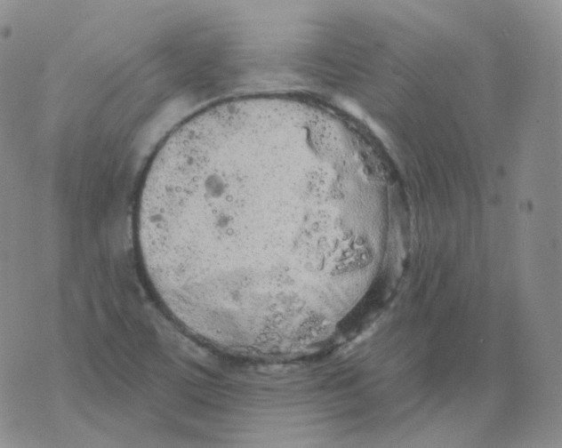 X0000076061459200610152150