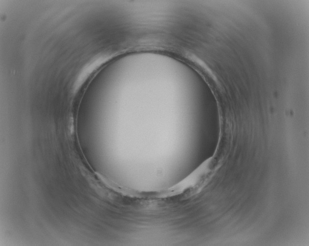 X0000076061461200610152150