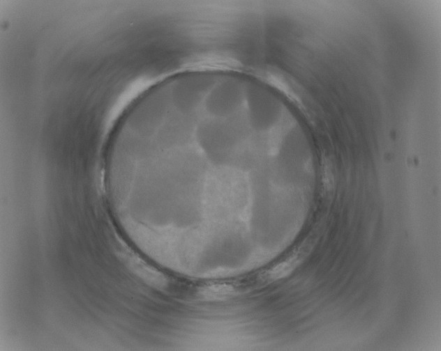 X0000076061462200610152150