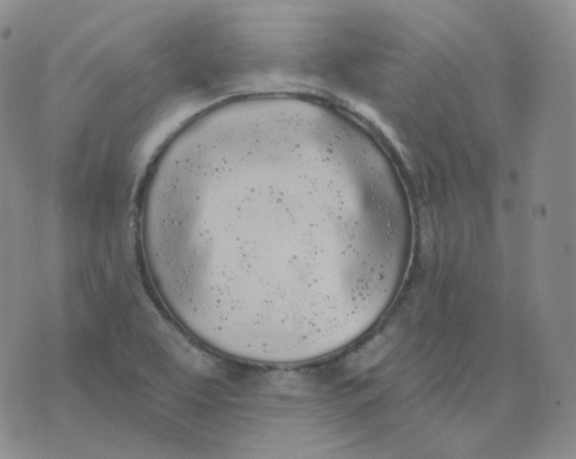 X0000076061463200610152150