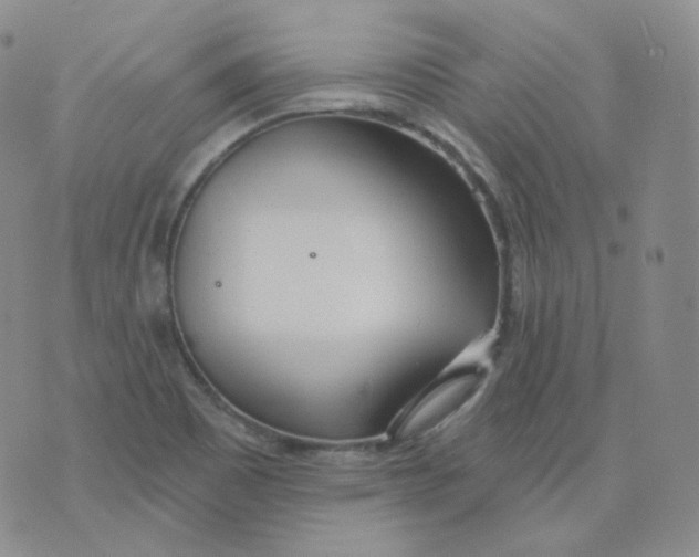 X0000076061465200610152150