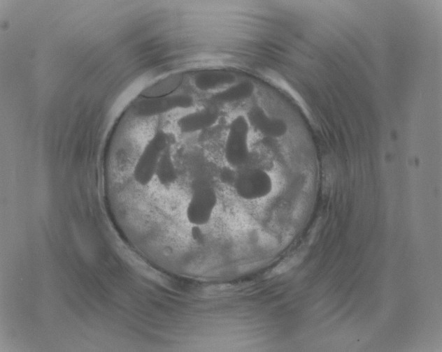 X0000076061467200610152150